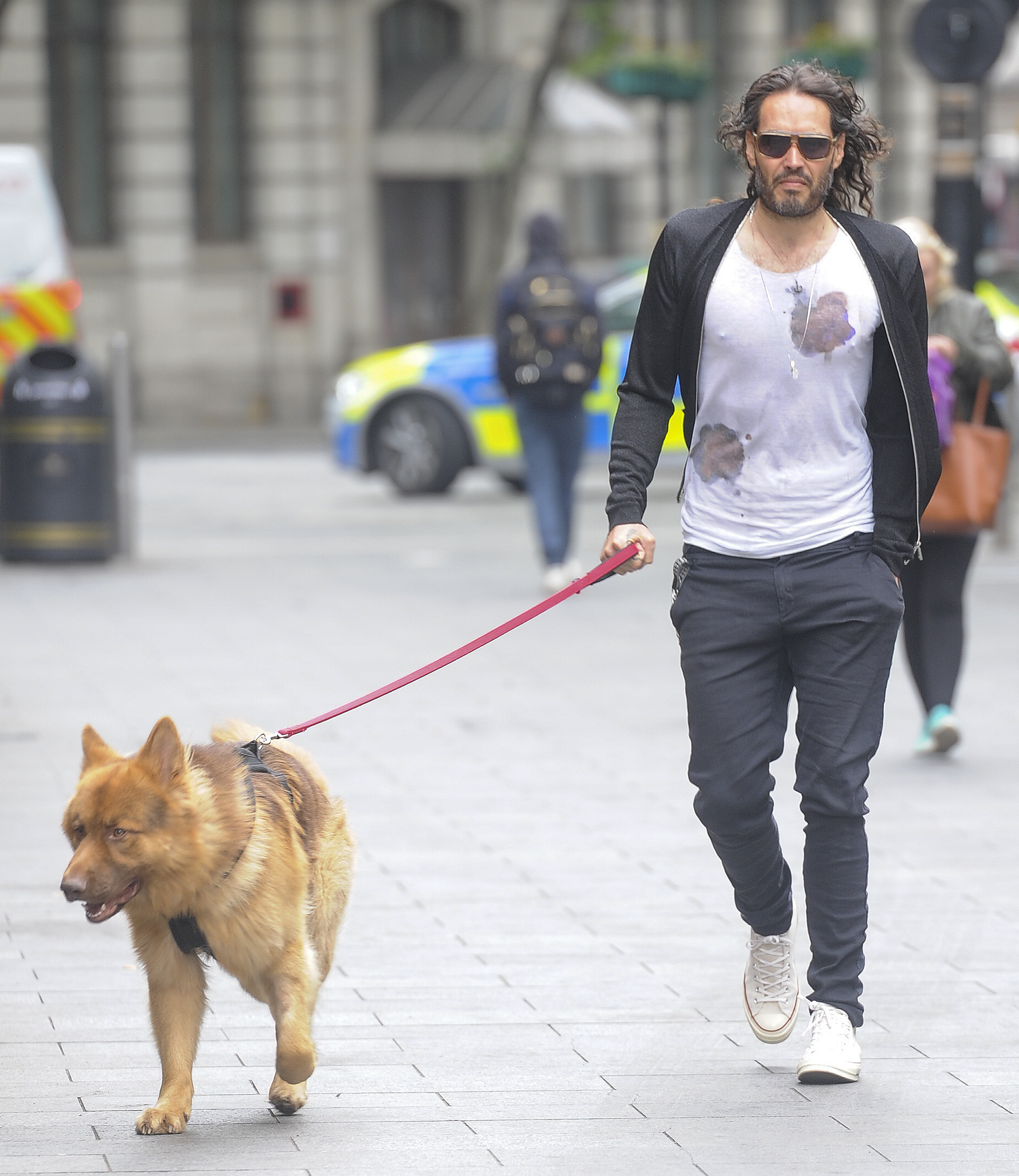 Russell Brand out with his dog - Celebrities and their pets in 2017 ...