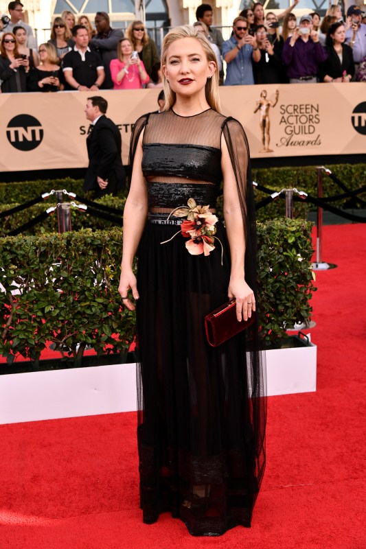 Emma Stone Wears a Partially Sheer Dress to the 2017 SAG Awards Red Carpet