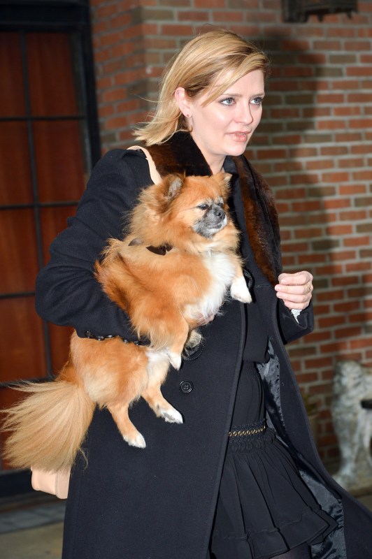 Jenny McCarthy carries pet pooch in a Louis Vuitton bag in New York
