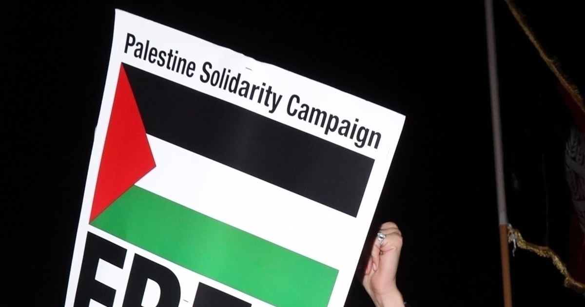 Bella Hadid joins pro-Palestine march in NYC