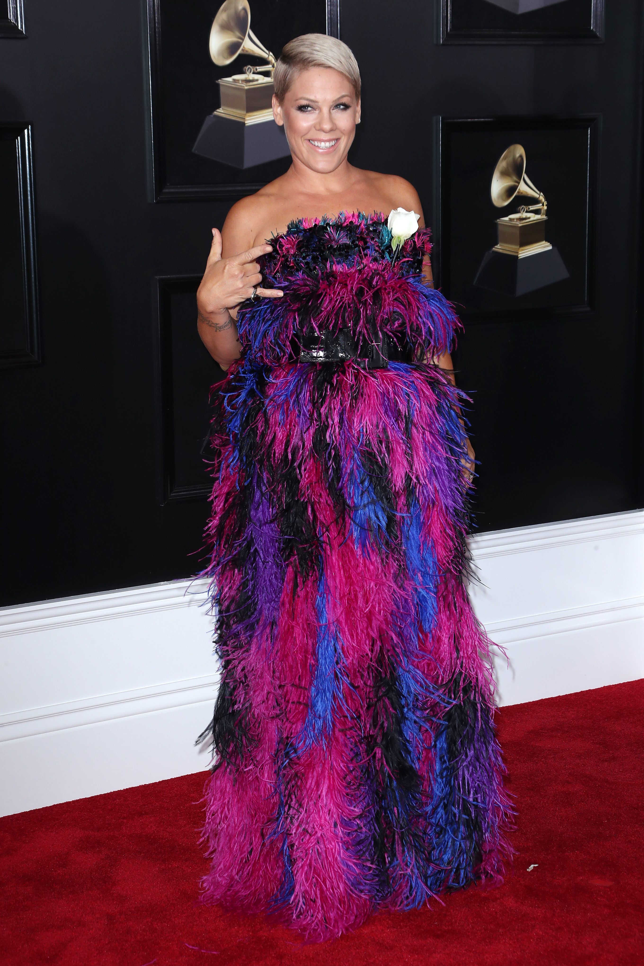 2018 Grammy Awards see the red carpet Gallery