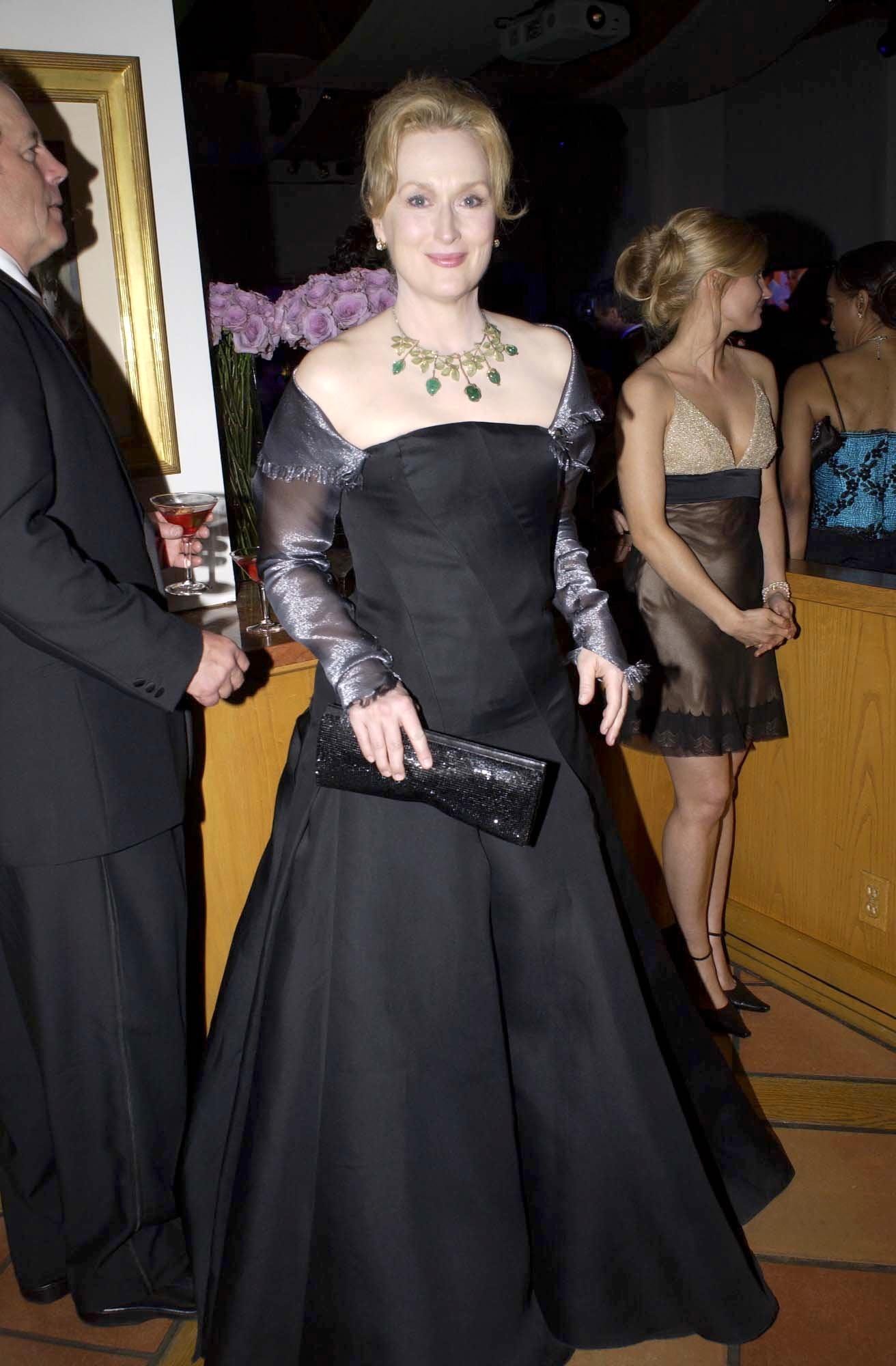 Meryl streep outlet 2010 oscars dress