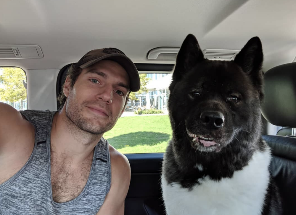 The Witcher star Henry Cavill goes public with his new girlfriend on dog  walk