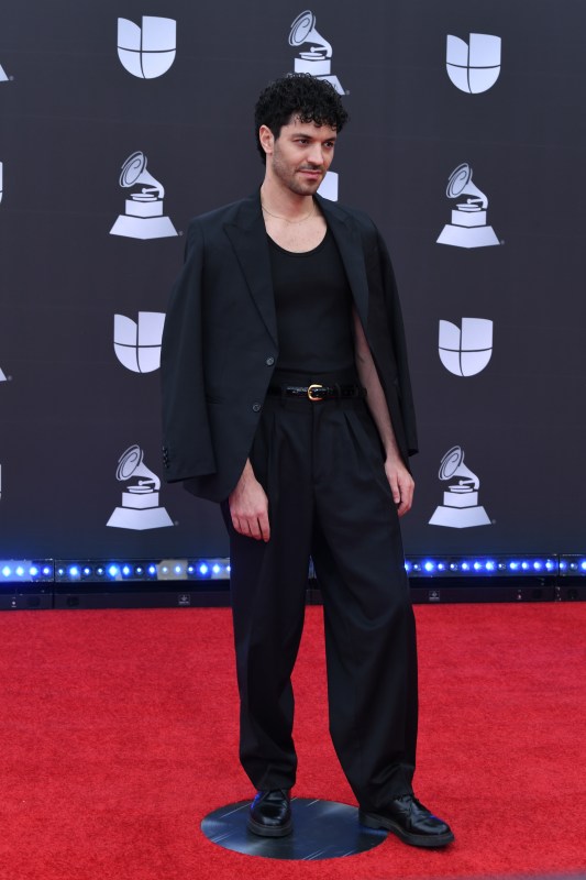 Fashion hits and misses from the 2019 Latin Grammy Awards | Gallery ...