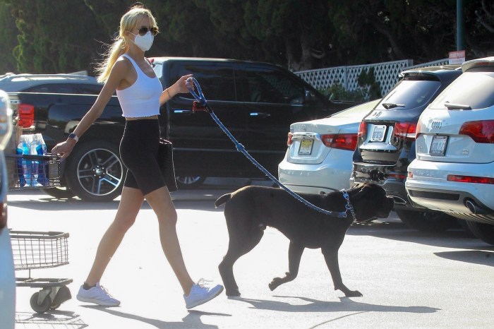 Celebs and their pets in 2020 | Gallery | Wonderwall.com
