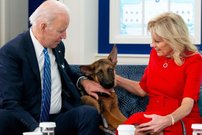 White House dogs and cats, Gallery