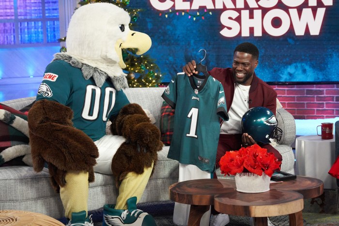 Philadelphia Eagles on X: All SWOOP wants for #NationalMascotDay is to see  you back in the stands this fall. #FlyEaglesFly  / X