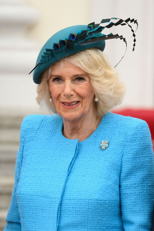 Queen Consort Camilla and King Charles III in Germany: The best photos ...