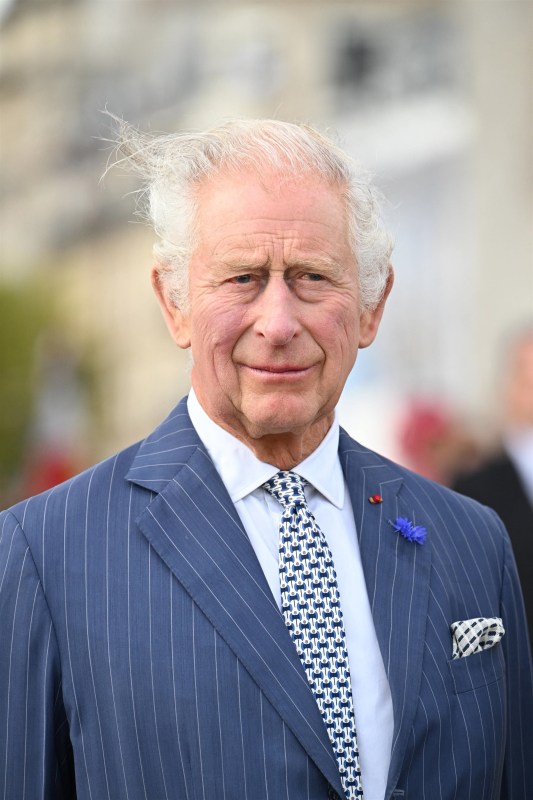 Queen Camilla and King Charles III sample wine and cheese, go glam at ...